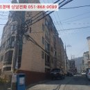 회원동236 이미지