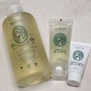 탈모증상완화 삼푸 | 루톤(ROOTON) 여성두피용 알파 에르겐 샴푸(내돈내산, 솔직후기)