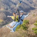 집라인 이미지