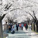 요천로 이미지