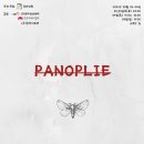 파노플리 노컷뉴스