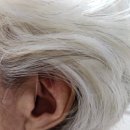 광교노인복지관 강당 | 노인보청기 가격 6대 브랜드 비교 및 선택 방법