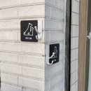 초록도마뱀 | [부천] 소사 애견 동반 카페 ‘초록도마뱀’ 내돈내산 후기 (주차가능)