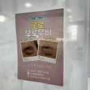 로로브로우바