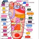 #️⃣주변 사람들에게 너무 잘해주지 마라'~✴쇼펜하우어가 말하는 인간관계 처세술" 이미지