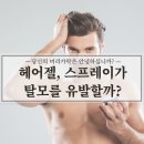 스프레이헤어 이미지