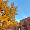 한끼국밥 노화보길점 | 순대실록 순대국밥 대학로가볼만한곳 저속노화 메뉴가 있는 서울대병원 맛집