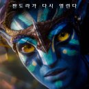 [기타] CGV 아바타리마스터링 IMAX 3D 4D 25퍼 할인예매 이미지