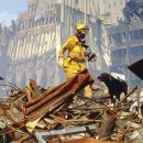 바른 애견 이미지