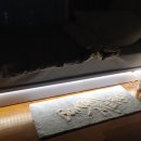 발그미조명 이미지