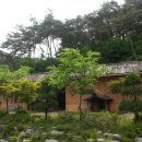 아카시아신경외과 네이버블로그
