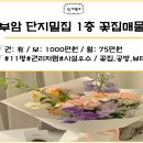 부암동일공인중개사사무소 이미지