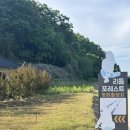 리틀포레스트 | 대구 군위 감성 가득한 리틀 포레스트 영화 촬영지 방문 후기