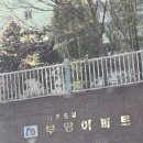 나주 송월동 부영아파트 미세촘촘방충망 교체 완료 후기 - 남도 홈케어