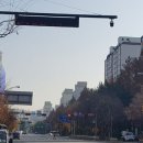 주정차단속-124 네이버블로그