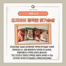 정직한 닭
