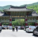 6.25전쟁 참전기 | 영조대왕의 사모곡이 스며있는 곳, 고령산 보광사