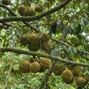 성은농장 이미지