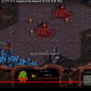 인스네어(ENSNARE) 이미지