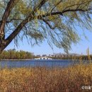 조양수지 이미지