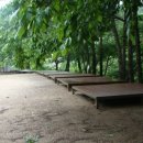 원동자연휴양림(양산) 이미지