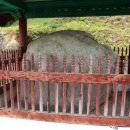 영주 신암리 마애여래삼존상 이미지