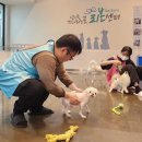 대웅산업 이미지