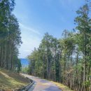 숲속공원놀이터 이미지