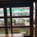 어바웃 댕댕 이미지