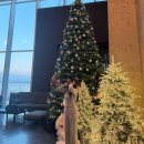 익스트림피트니스복싱클럽 | 네스트 호텔 / 나이키수영복 인천 수영장 룸서비스 네스트호텔 조식 뷔페 피트니스 풀파티 추천