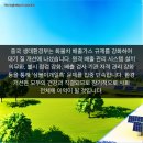 우정환경 티스토리