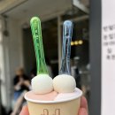 도쿄선인장