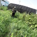 매내골 농장 이미지