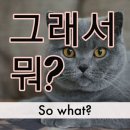 메이플커스텀