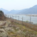 매화공원 광장 이미지