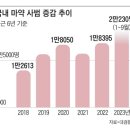 마약 수사 골든타임 놓치게 하더니… 돈줄도 옥죈 민주당 이미지