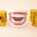 나무 치과기공소 이미지