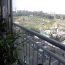 병호농장 Daum카페