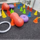 부산동물병원 이미지