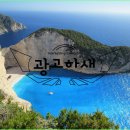 광고하새