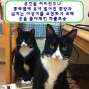 콩양