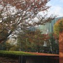 신미술관(휴관) 이미지