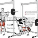 에스라인 휘트니스 이미지