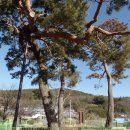 신북초등학교 이미지