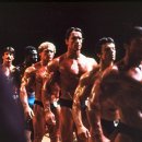 올림피아헬스클럽 이미지