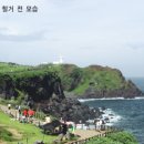 크로커다일제주