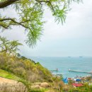 풍도
