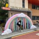 양재목련 이미지