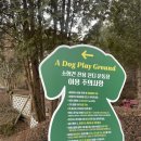 파인벨펜션 | 홍천카페[테라스의 아침]/감성카페/뷰맛집🏞️