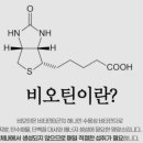 경남 마산 동물약국 네이버블로그